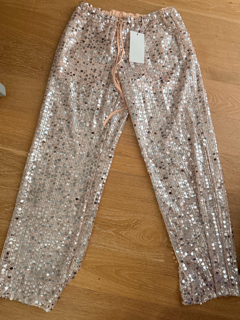 NWT Zara sequin pants